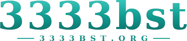 3333bst logo